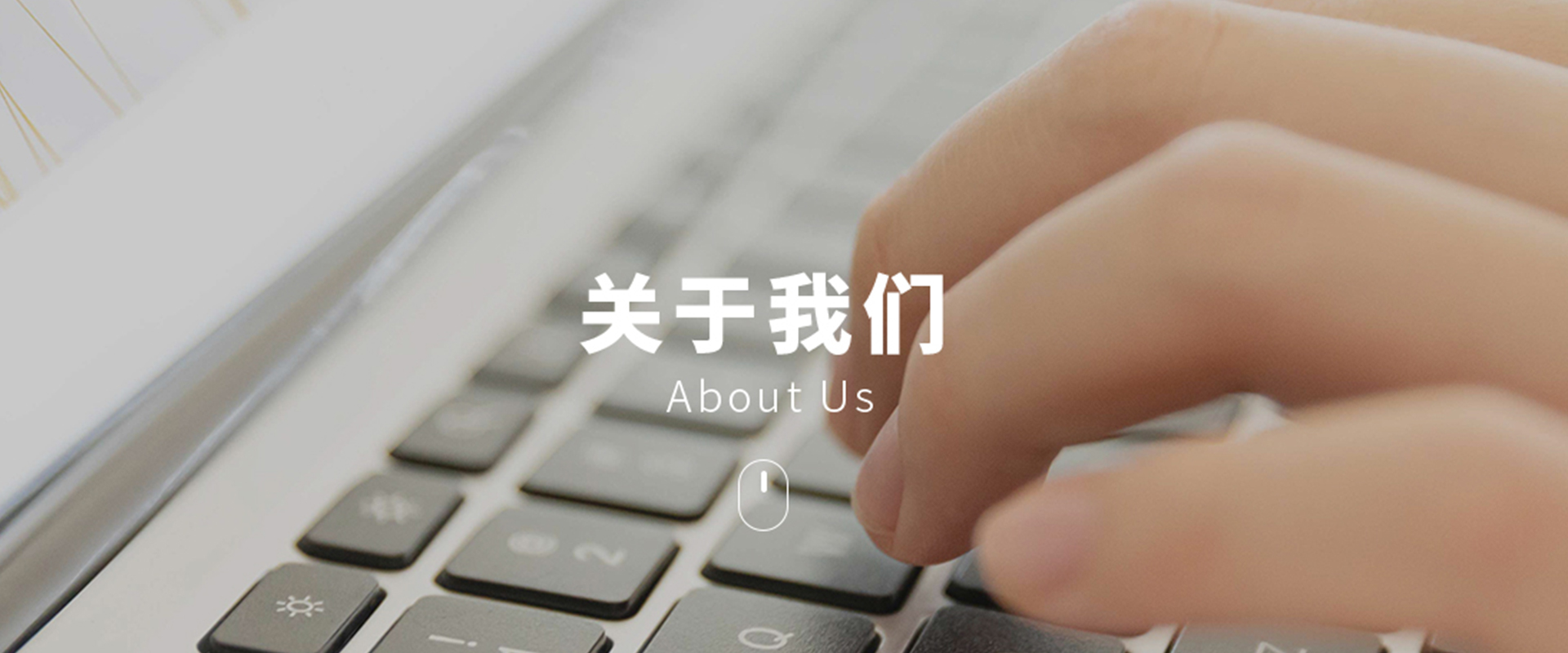 知识产权